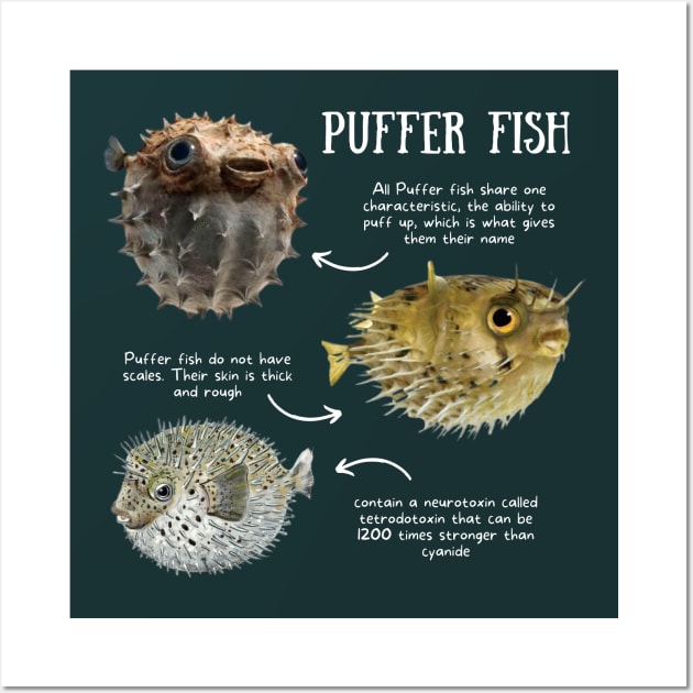 Animal Facts - Puffer Fish Wall Art by Animal Facts and Trivias